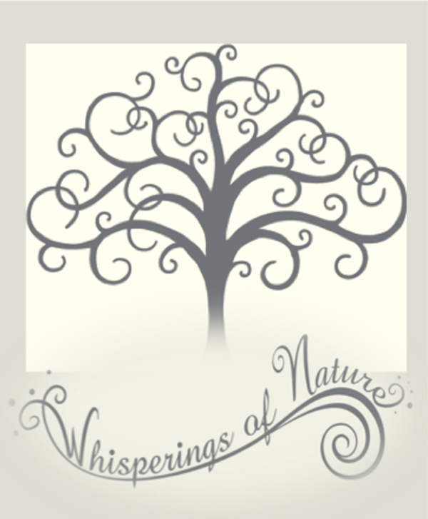Age in Grace - Nourishing Body Butter - Image 5